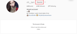 How to see private Instagram