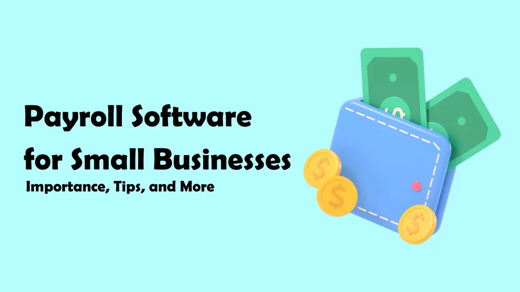 How The Use of Payroll Software Can Help Small-scale Businesses?